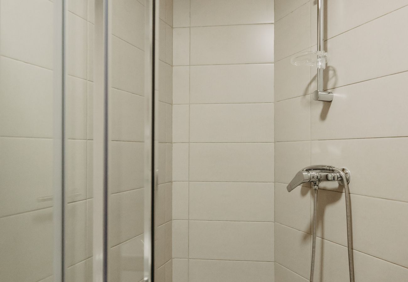 Studio in Timisoara - Agoston Galgon Holiday Apartments