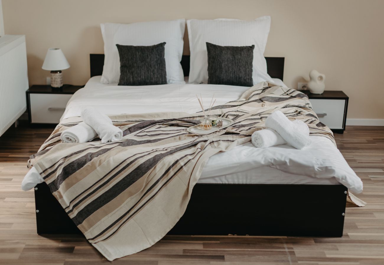 Studio in Timisoara - Agoston Galgon Holiday Apartments