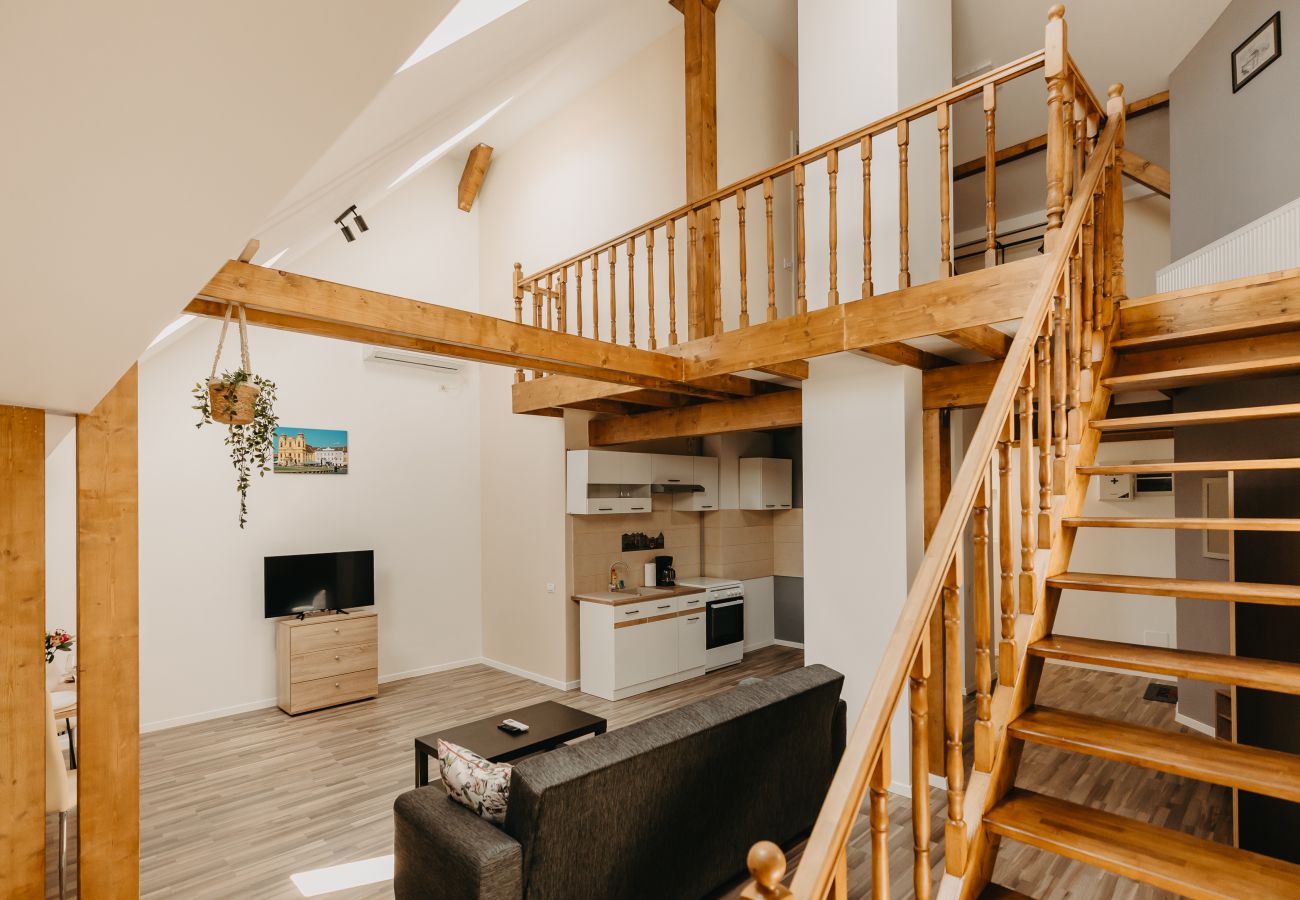 Studio in Timisoara - Agoston Galgon Holiday Apartments