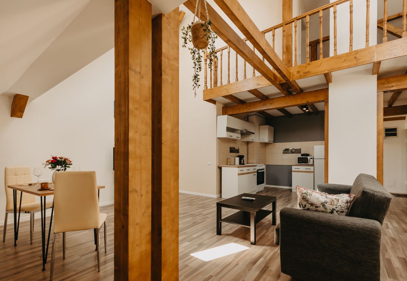 Studio in Timisoara - Agoston Galgon Holiday Apartments