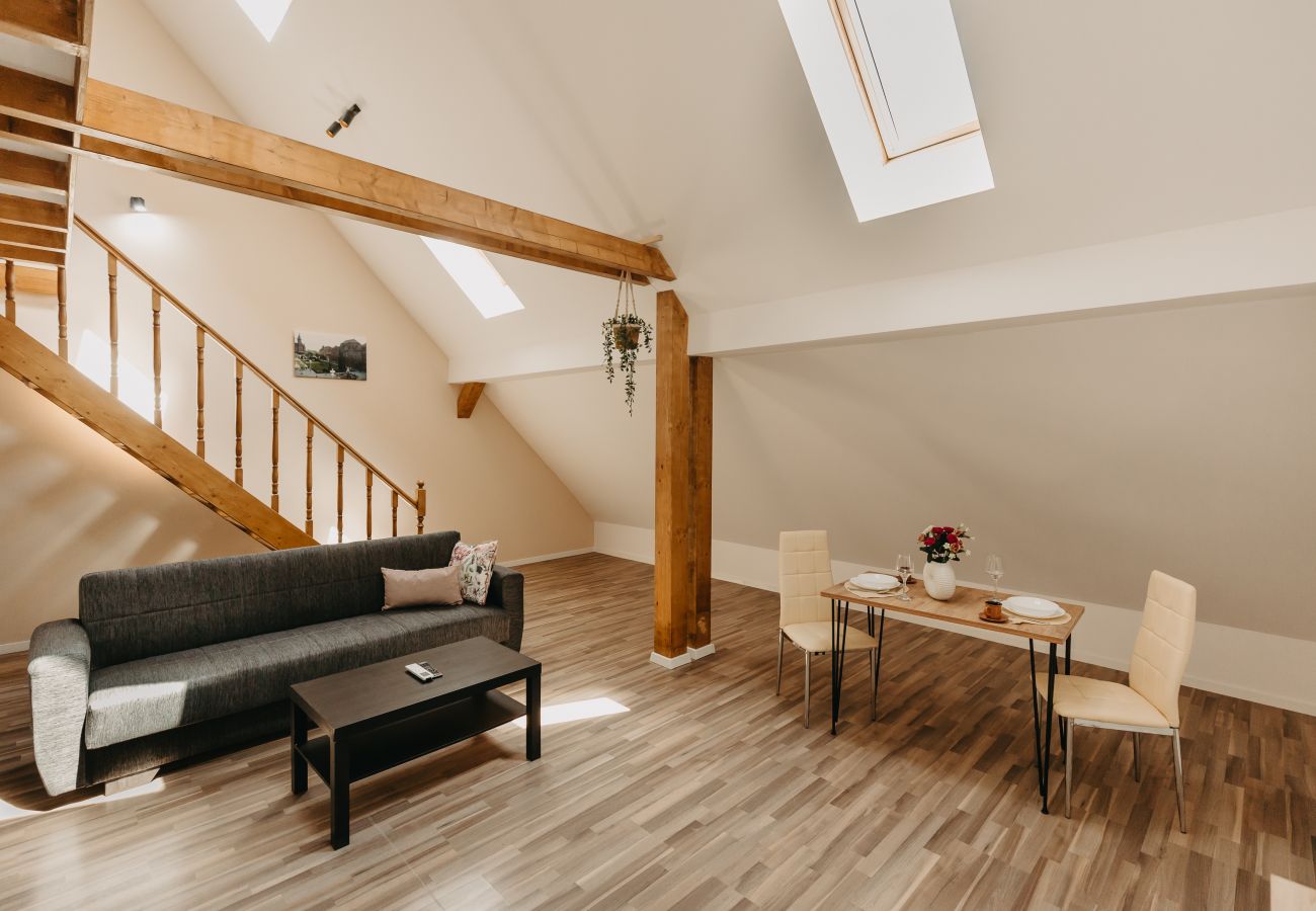 Studio in Timisoara - Agoston Galgon Holiday Apartments