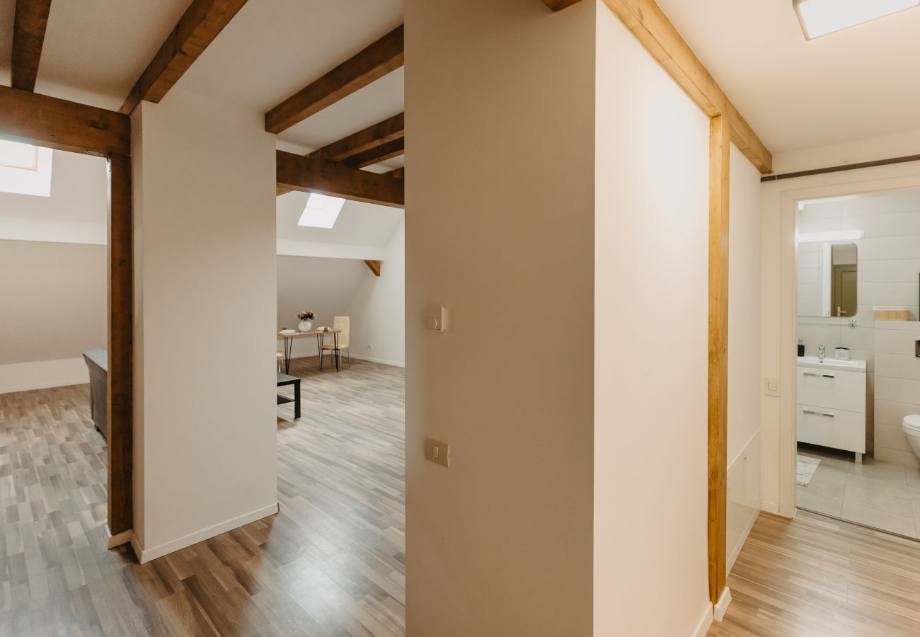 Studio in Timisoara - Agoston Galgon Holiday Apartments