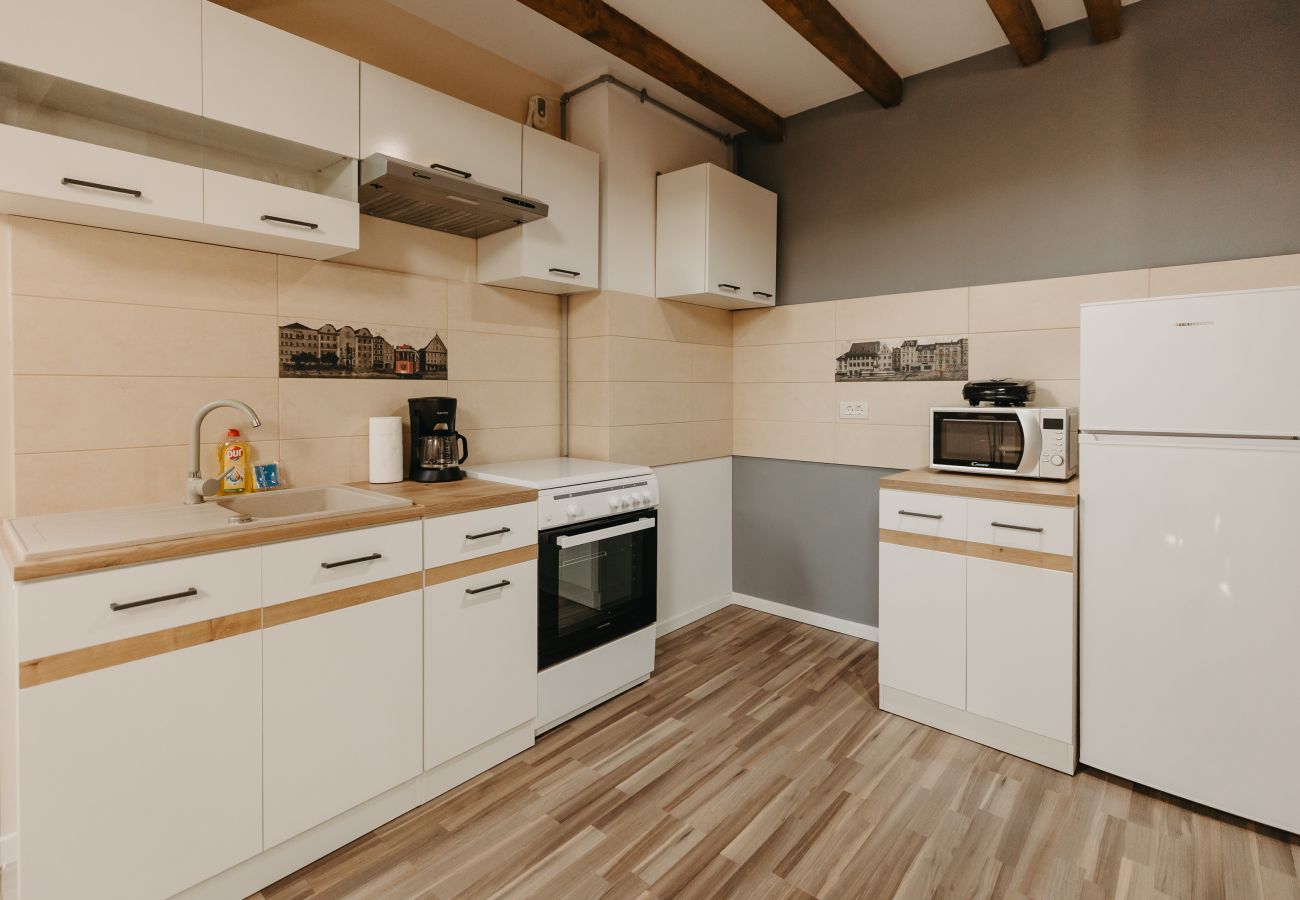 Studio in Timisoara - Agoston Galgon Holiday Apartments