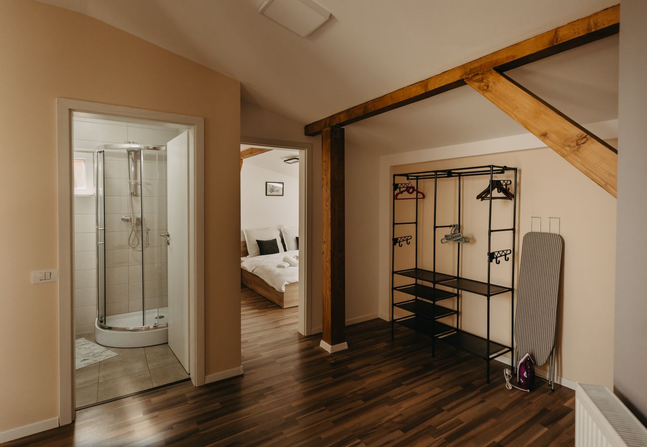 Studio in Timisoara - Agoston Galgon Holiday Apartments