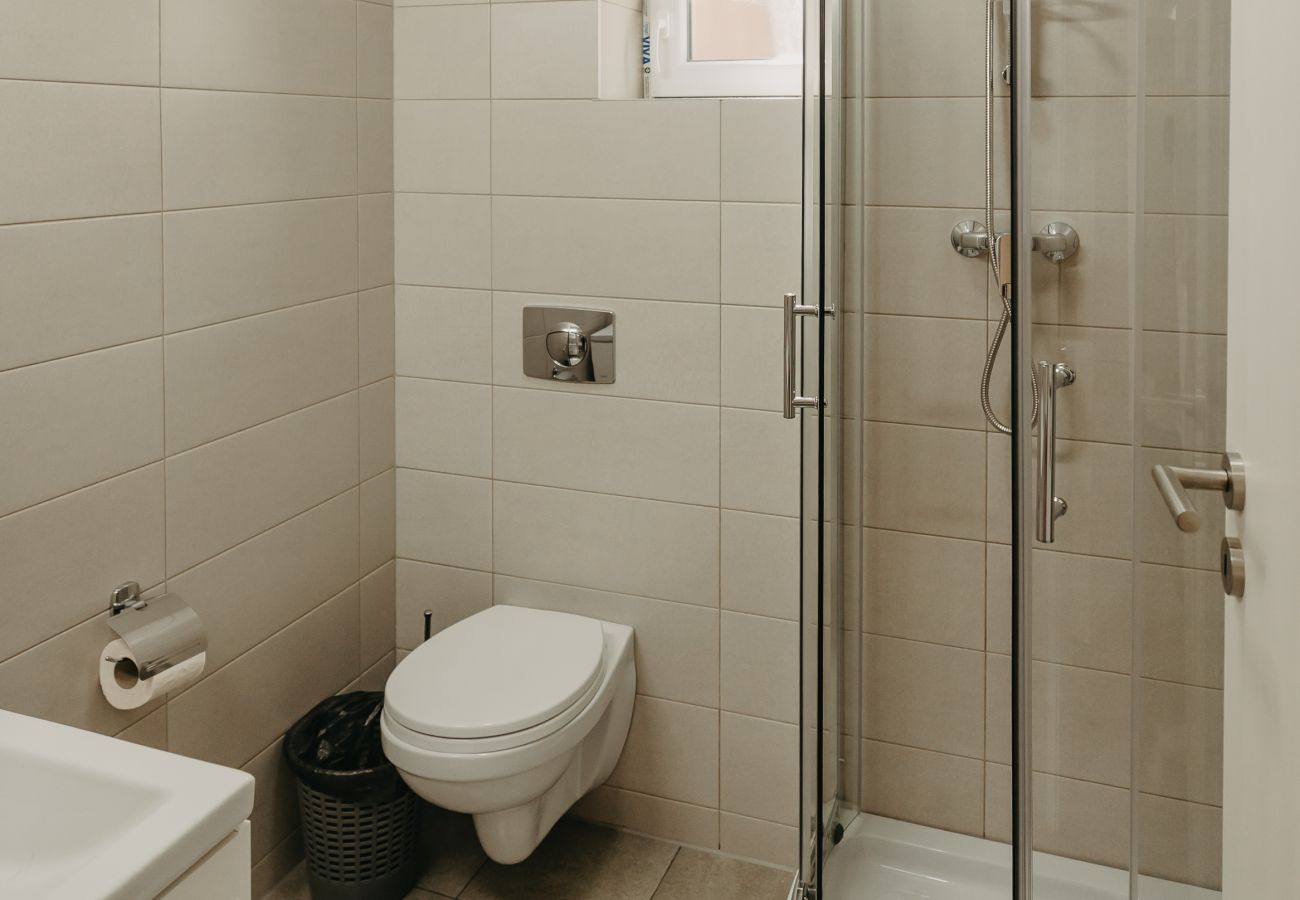 Studio in Timisoara - Agoston Galgon Holiday Apartments