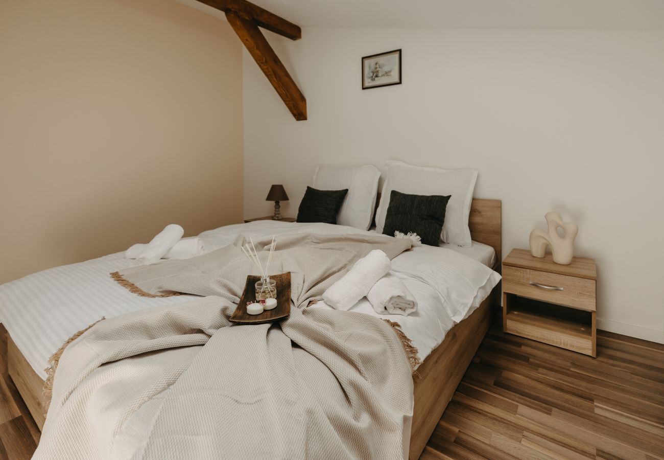 Studio in Timisoara - Agoston Galgon Holiday Apartments