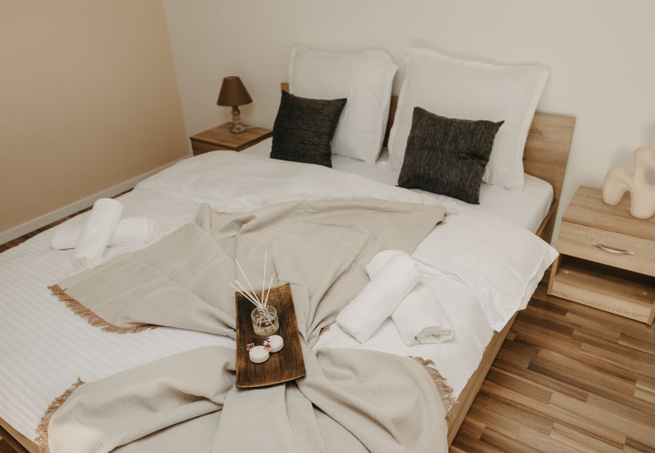 Studio in Timisoara - Agoston Galgon Holiday Apartments