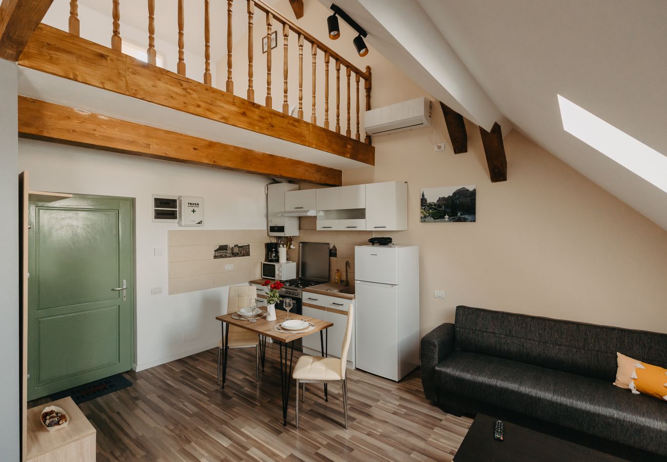 Studio in Timisoara - Agoston Galgon Holiday Apartments