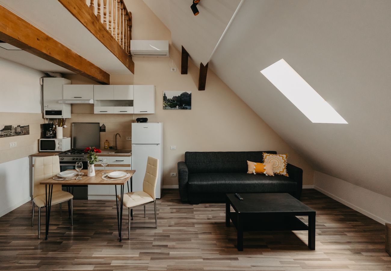 Studio in Timisoara - Agoston Galgon Holiday Apartments