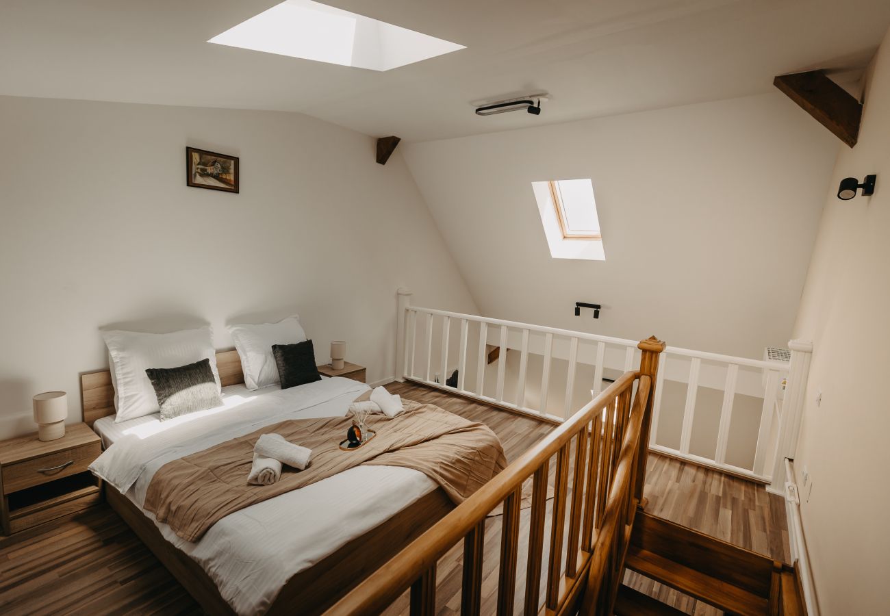Studio in Timisoara - Agoston Galgon Holiday Apartments