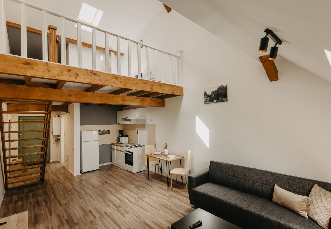 Studio in Timisoara - Agoston Galgon Holiday Apartments