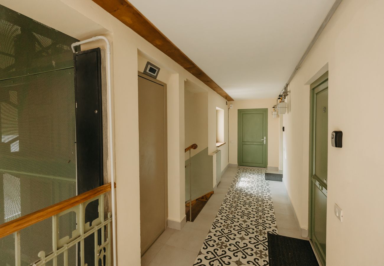Studio in Timisoara - Agoston Galgon Holiday Apartments