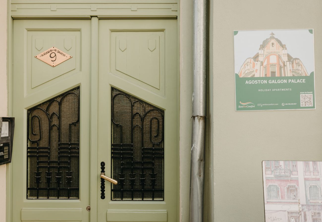 Studio in Timisoara - Agoston Galgon Holiday Apartments