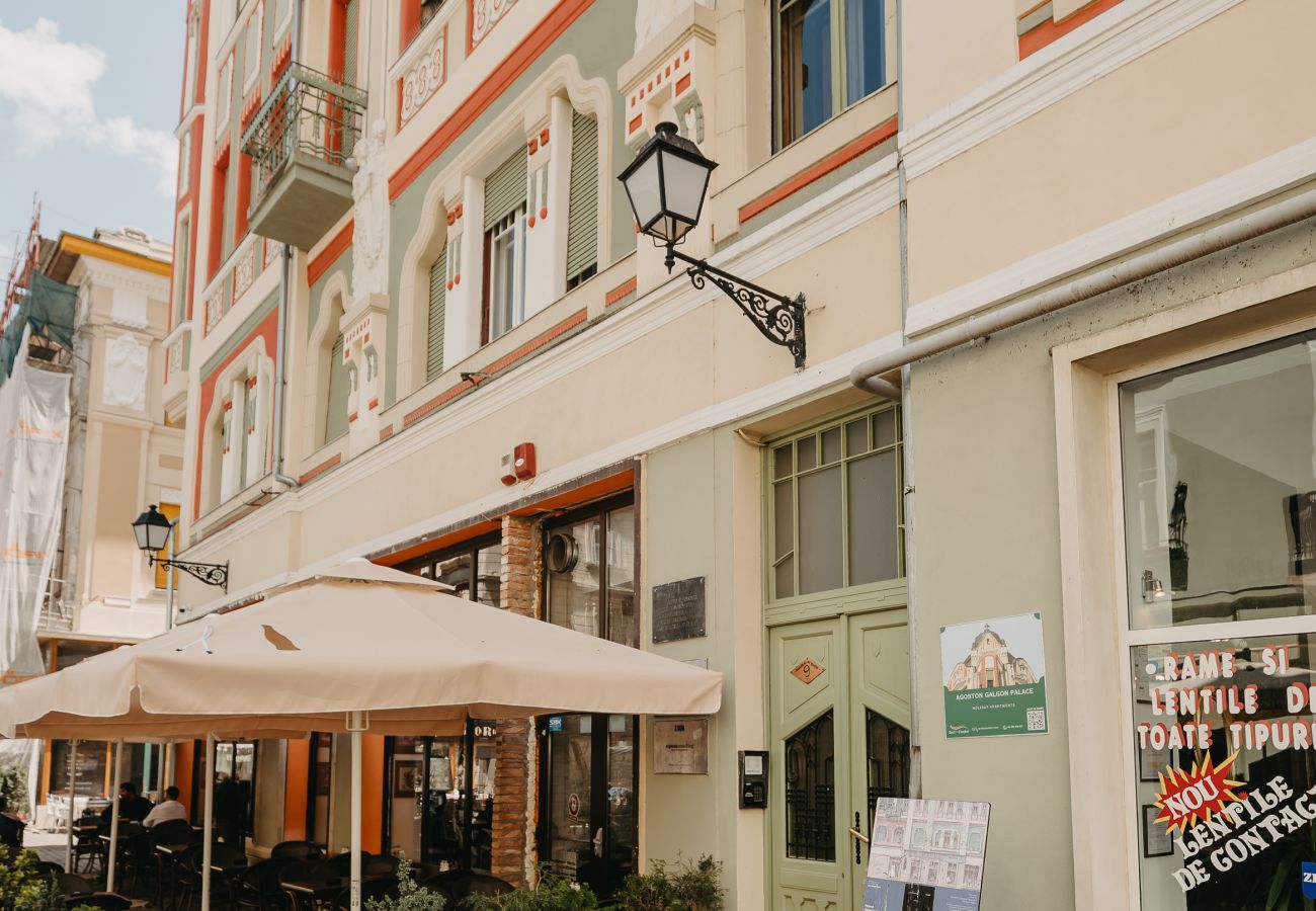 Studio in Timisoara - Agoston Galgon Holiday Apartments