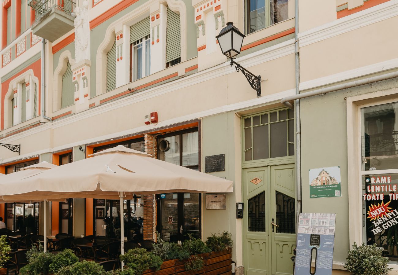 Studio in Timisoara - Agoston Galgon Holiday Apartments
