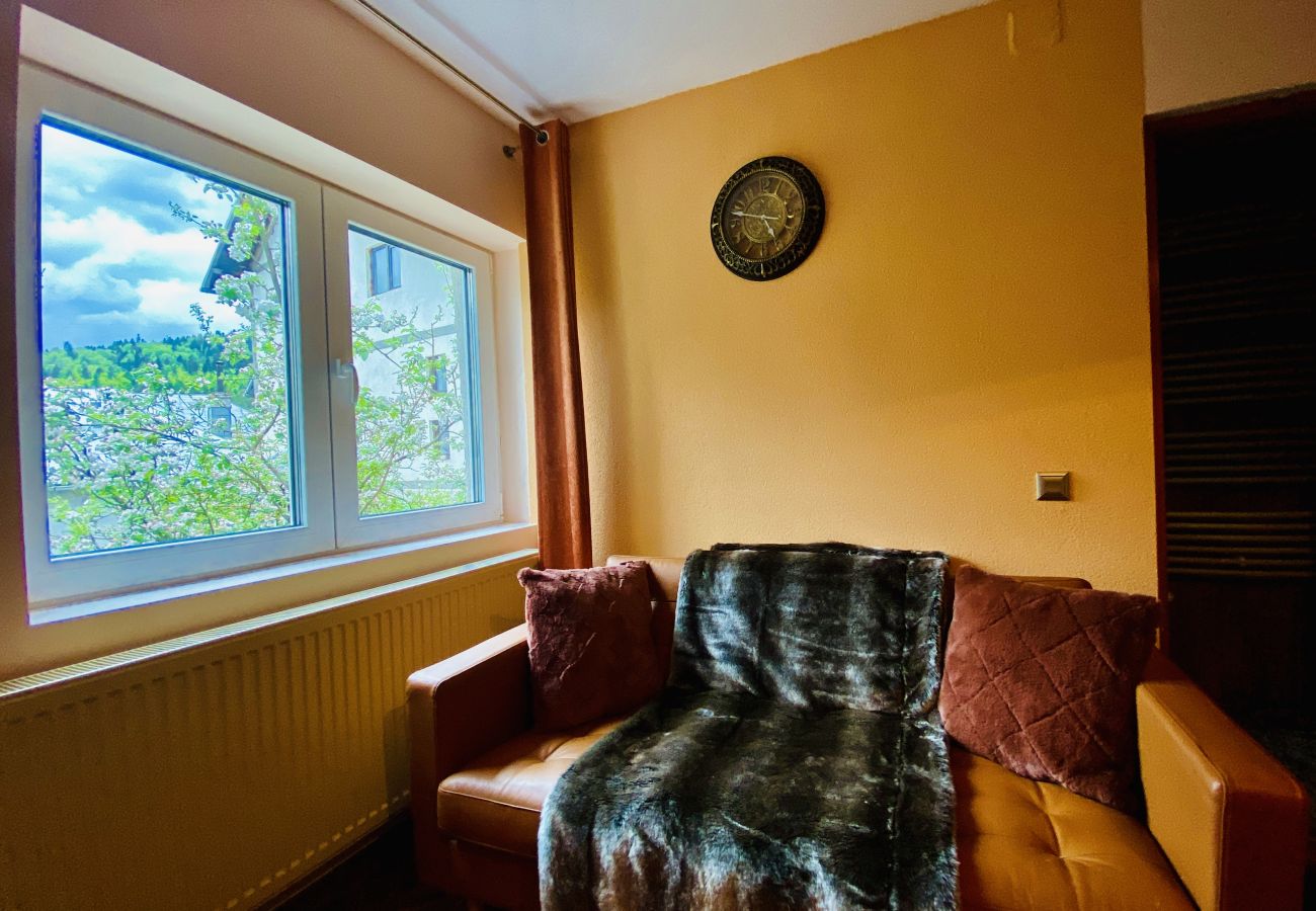 Apartment in Sinaia -  Butterfly