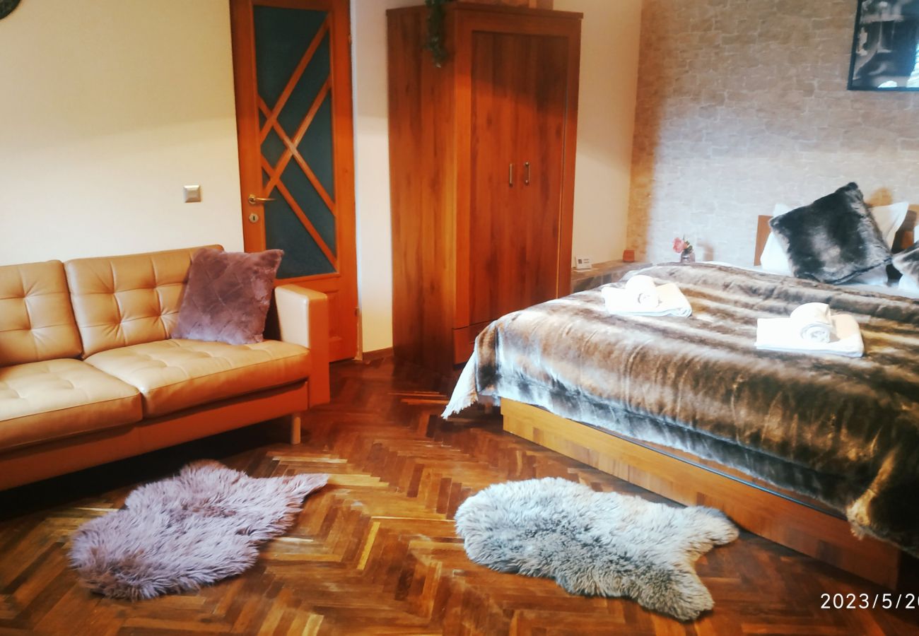 Apartment in Sinaia -  Butterfly