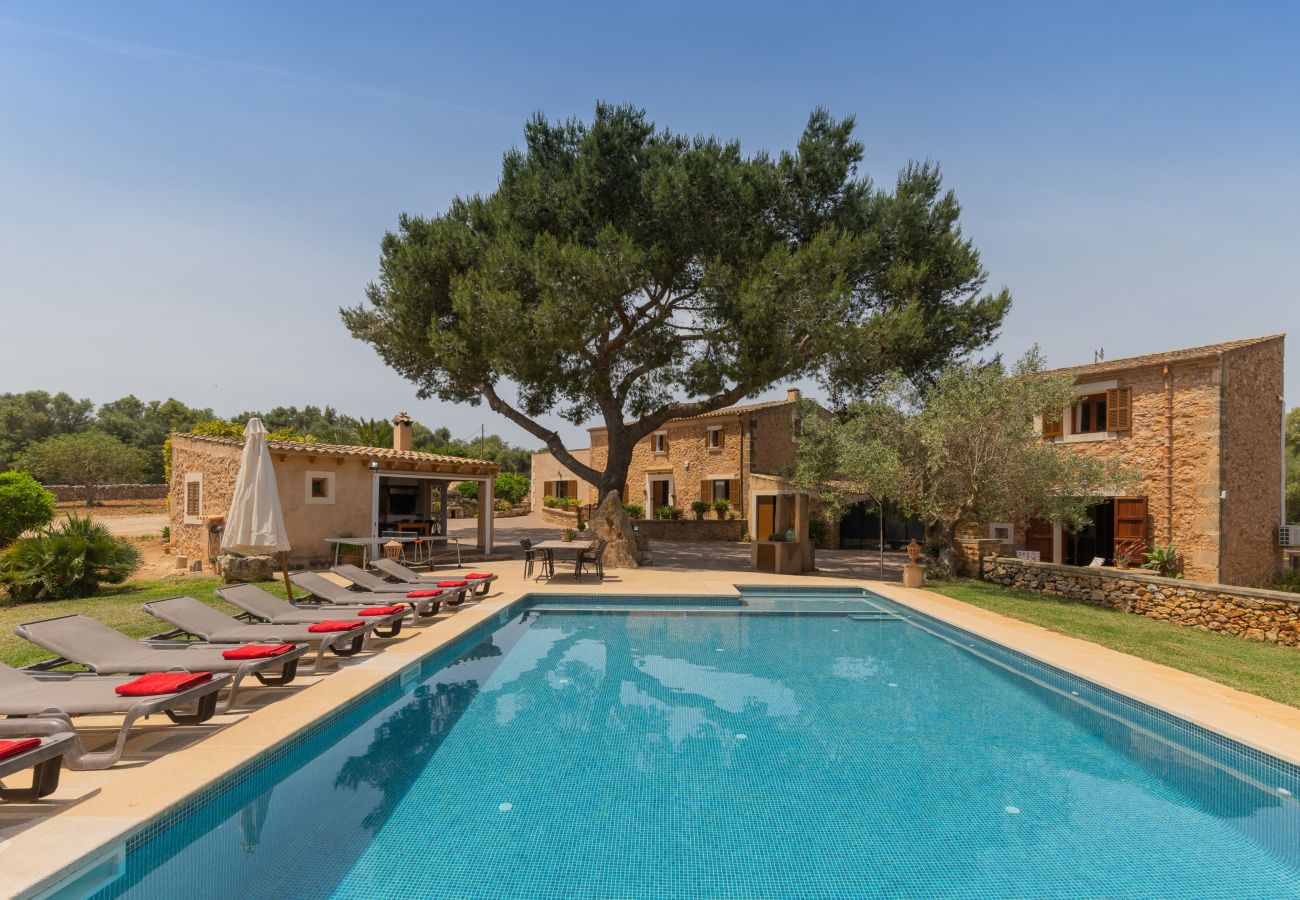Villa in Santanyi - YourHouse Angoixes, villa with private pool