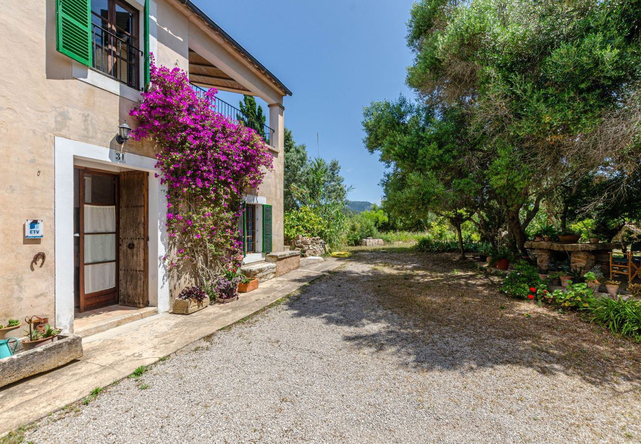 Villa in Felanitx - Yourhouse Es Galliner