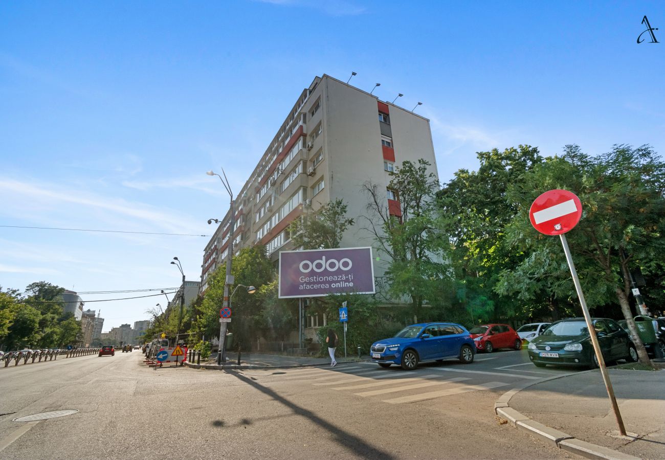 Apartment in Bucharest - 2 BDR Apartment near Hospital Grigore Alexandrescu