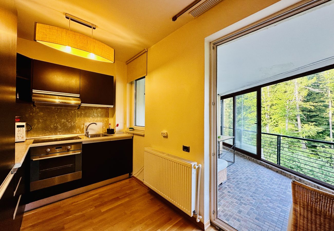Apartment in Predeal - Predeal 1BDR Bellevue 