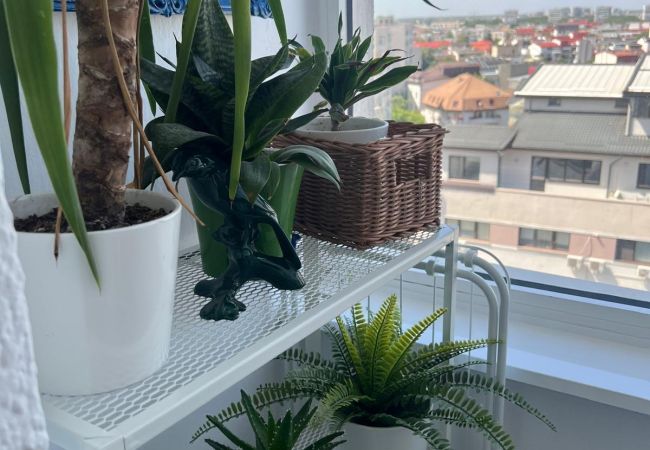 Apartment in Bucharest - PERLA 225  Apartment  Apartment in Bucharest - PERLA 225  Apartment