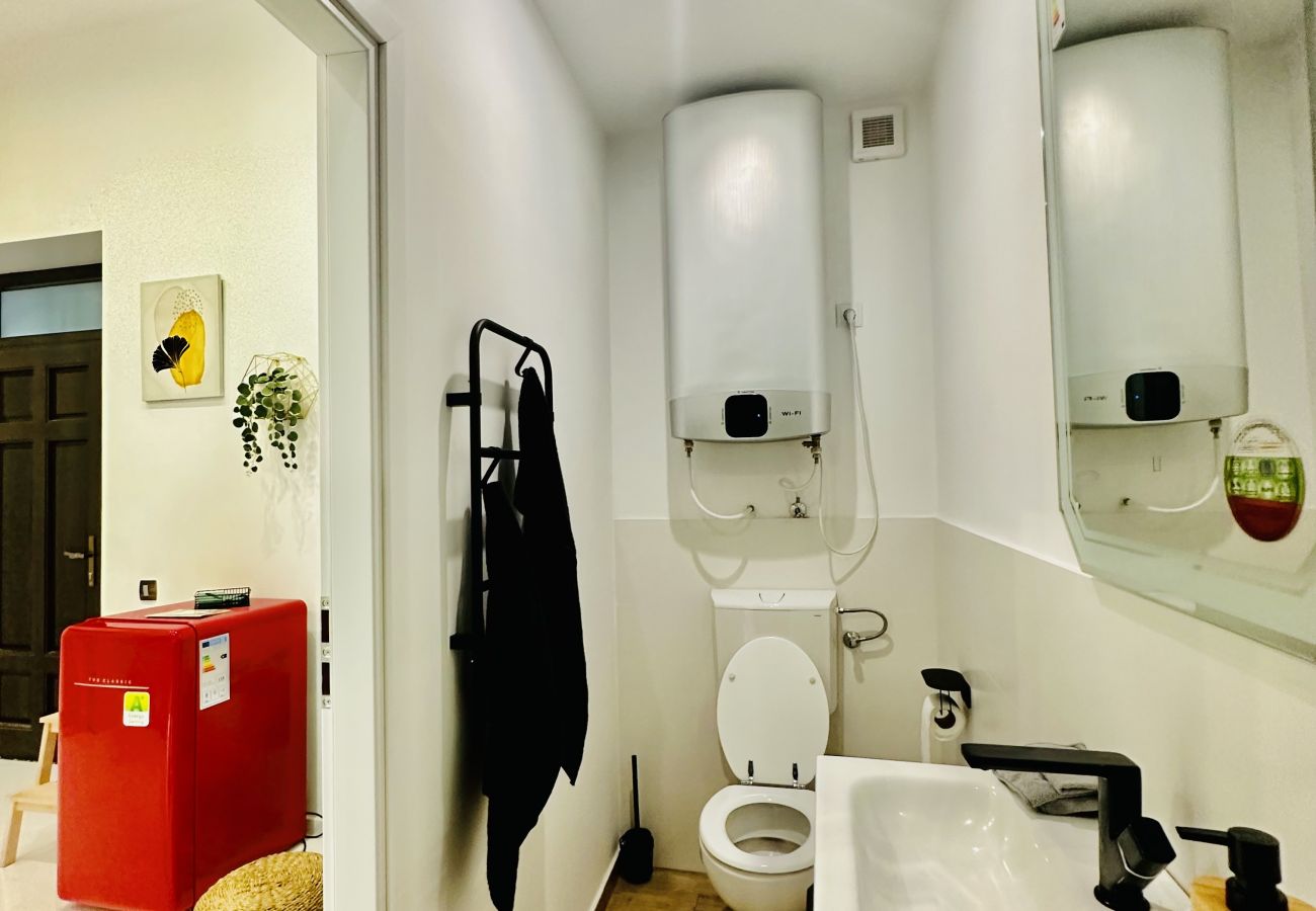 Studio in Cluj Napoca - Clever Studio near Central Shopping Center 