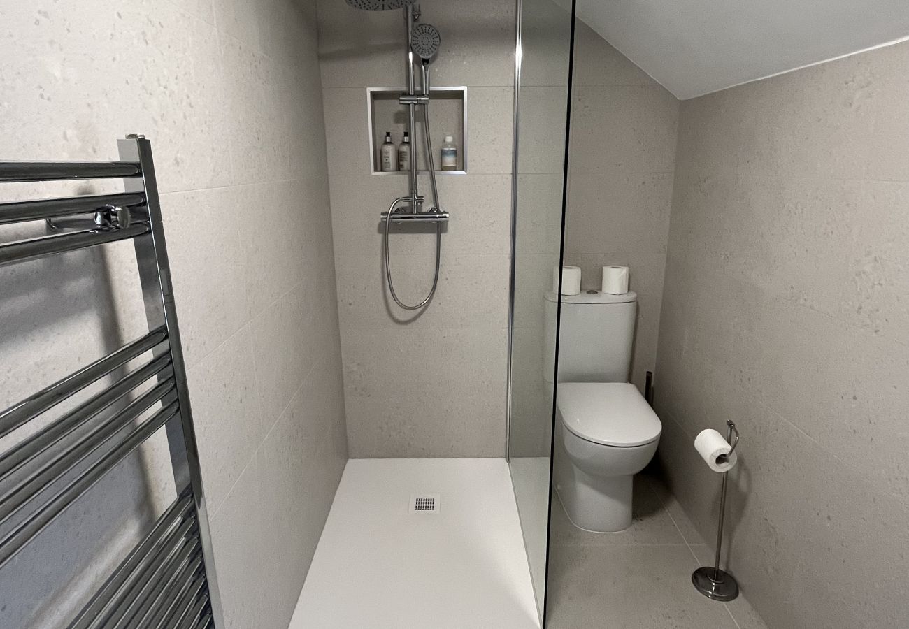 House in Dublin - South Doublin City Townhouse