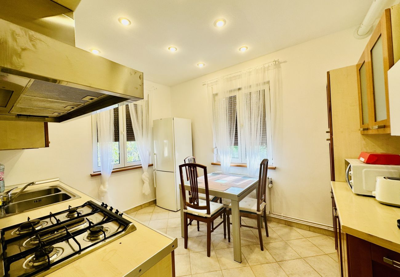 Apartment in Bucharest - Central University Square 1BDR Apartment