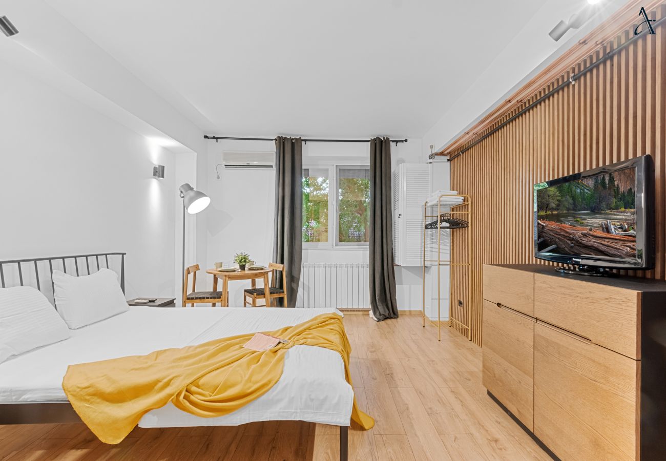 Studio in Bucharest - Charming Studio in City Center