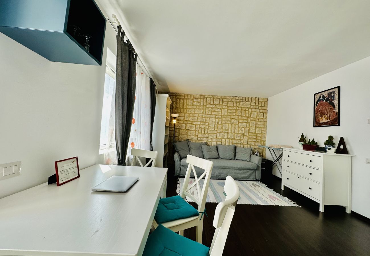 Apartment in Cluj Napoca - Berni 1 BDR Apartment