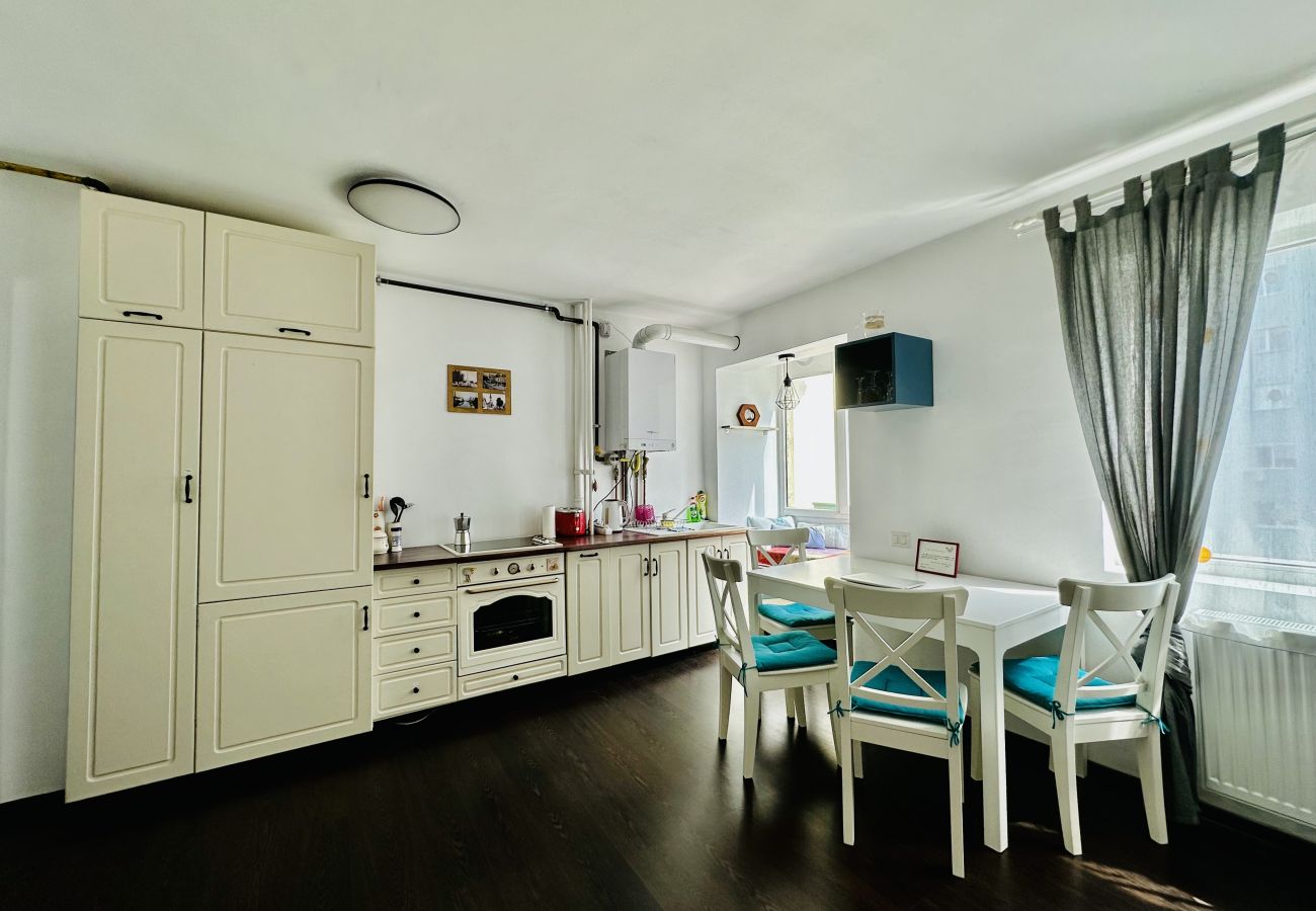 Apartment in Cluj Napoca - Berni 1 BDR Apartment