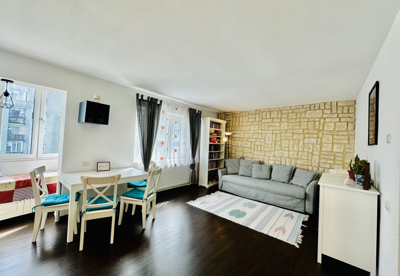 Apartment in Cluj Napoca - Berni 1 BDR Apartment