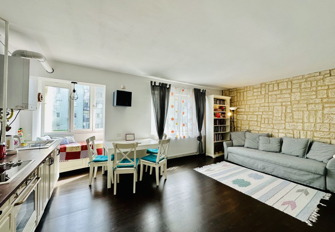 Apartment in Cluj Napoca - Berni 1 BDR Apartment