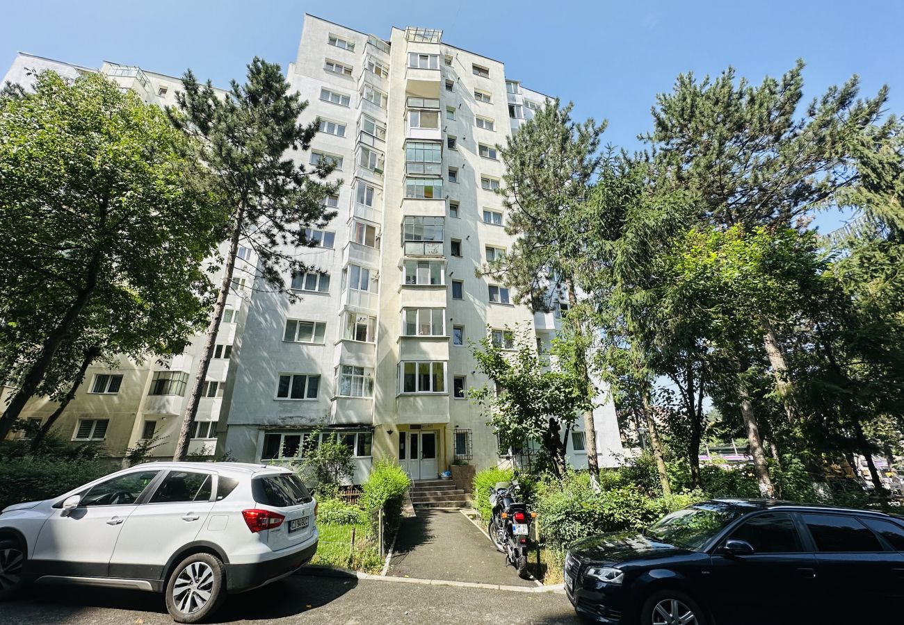 Apartment in Cluj Napoca - Berni 1 BDR Apartment