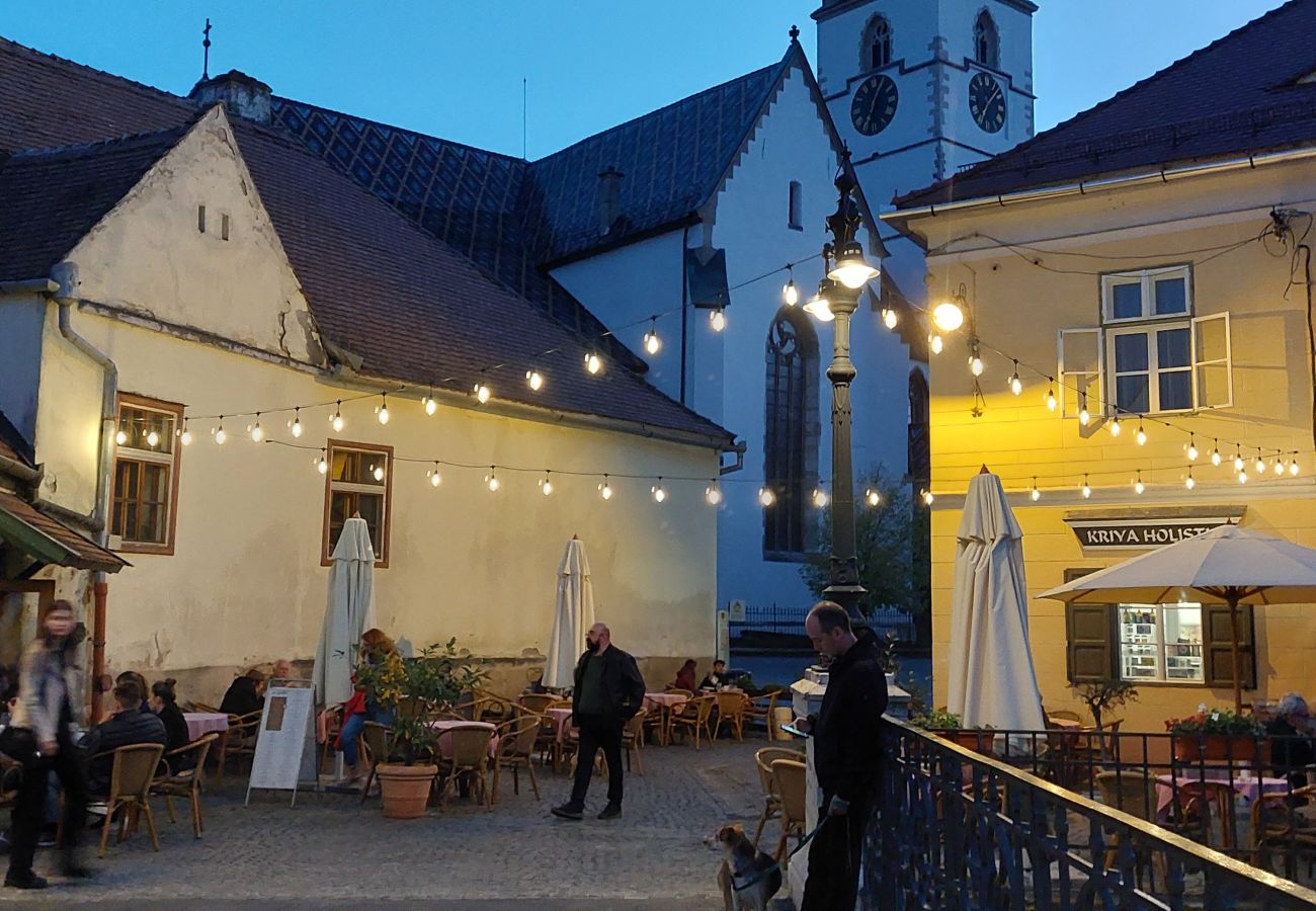 House in Sibiu - Maison du Soleil