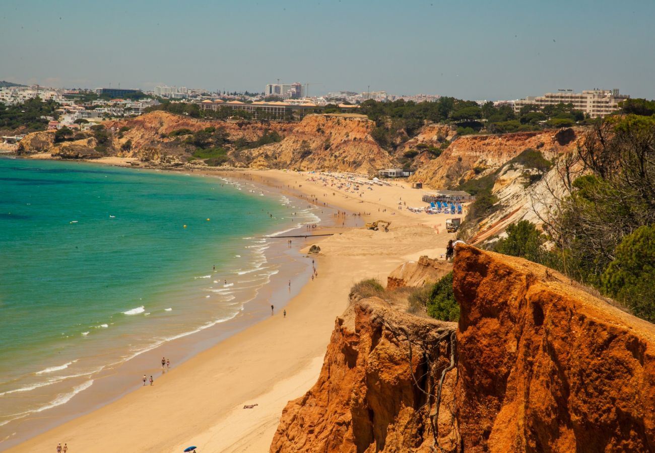 Apartment in Albufeira - Falesia Beach C