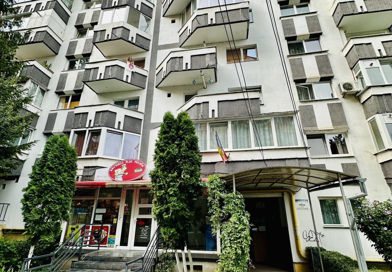Apartment in Cluj Napoca - 2BDR Primaverii