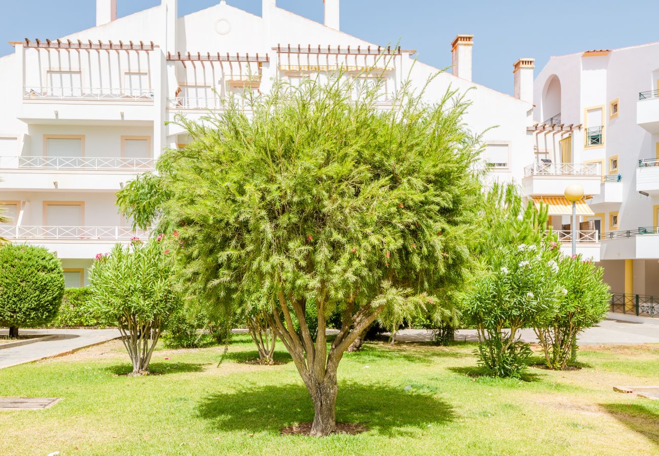 Apartment in Albufeira - Alfamar