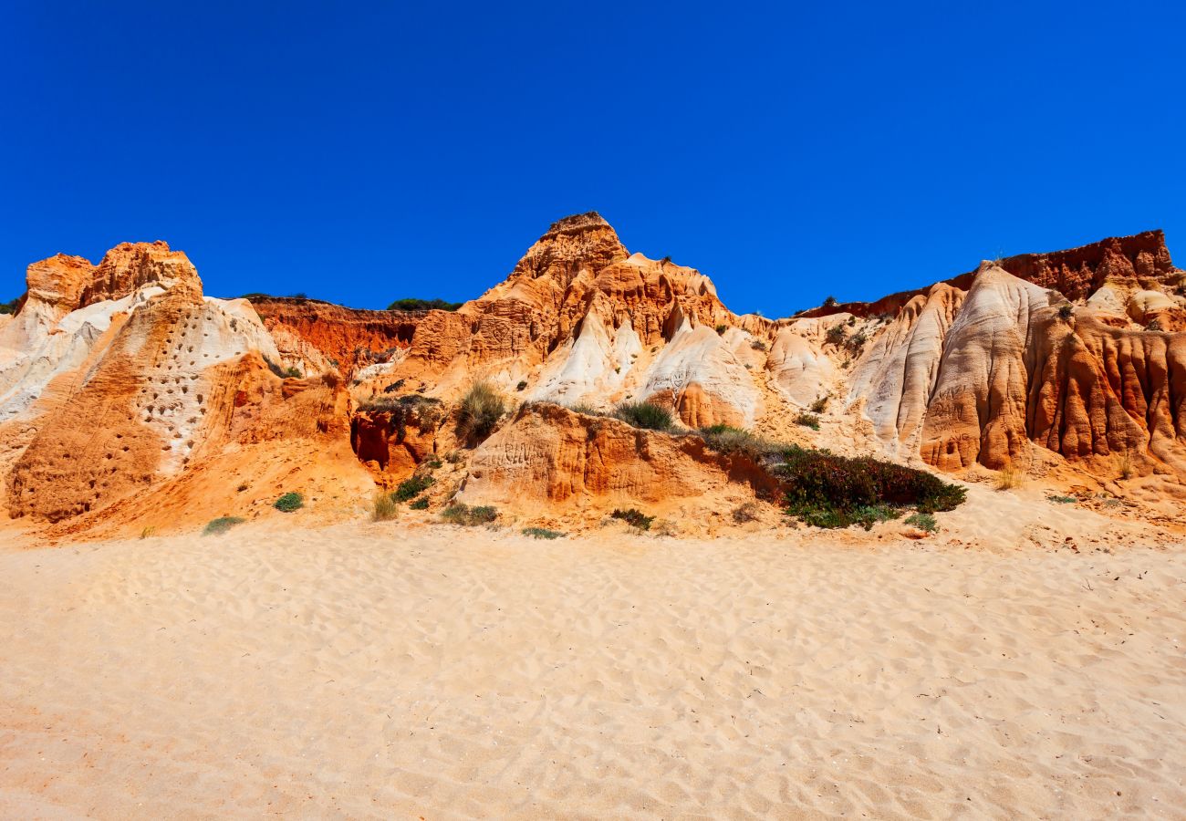 Apartment in Albufeira - Alfamar