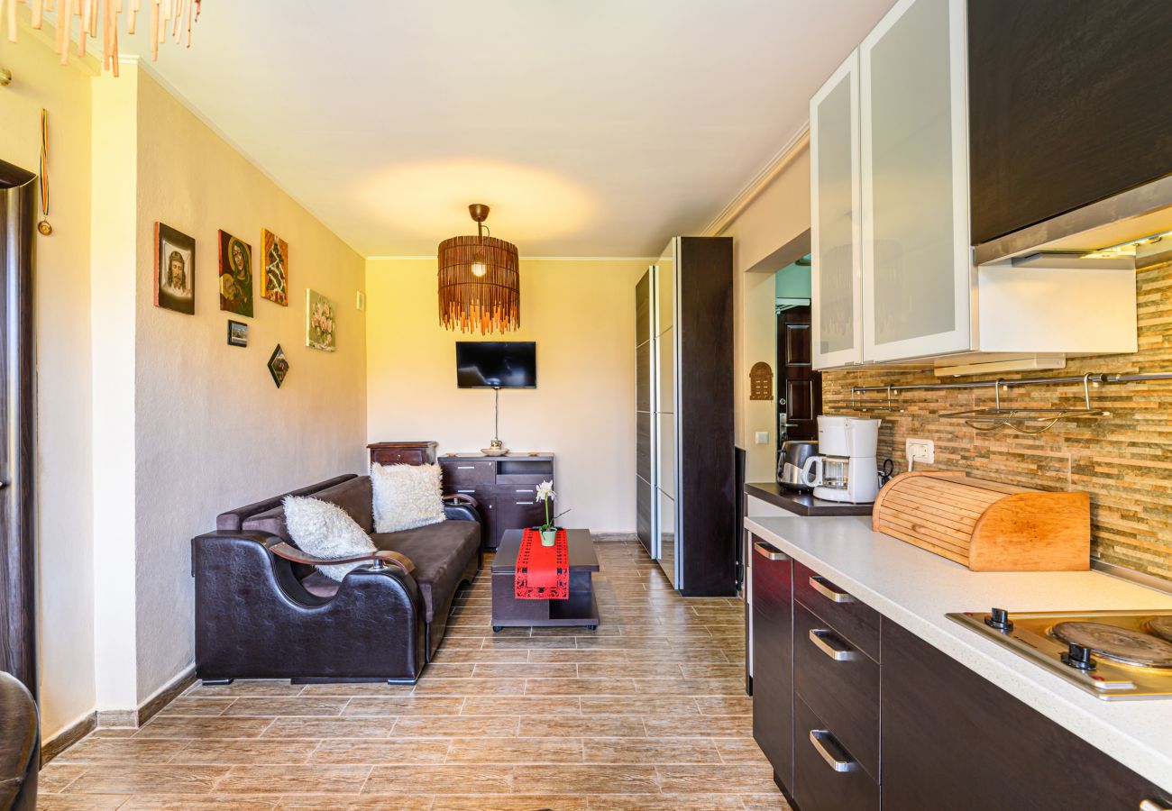 Apartment in Poiana Braşov - Marcus Apartment