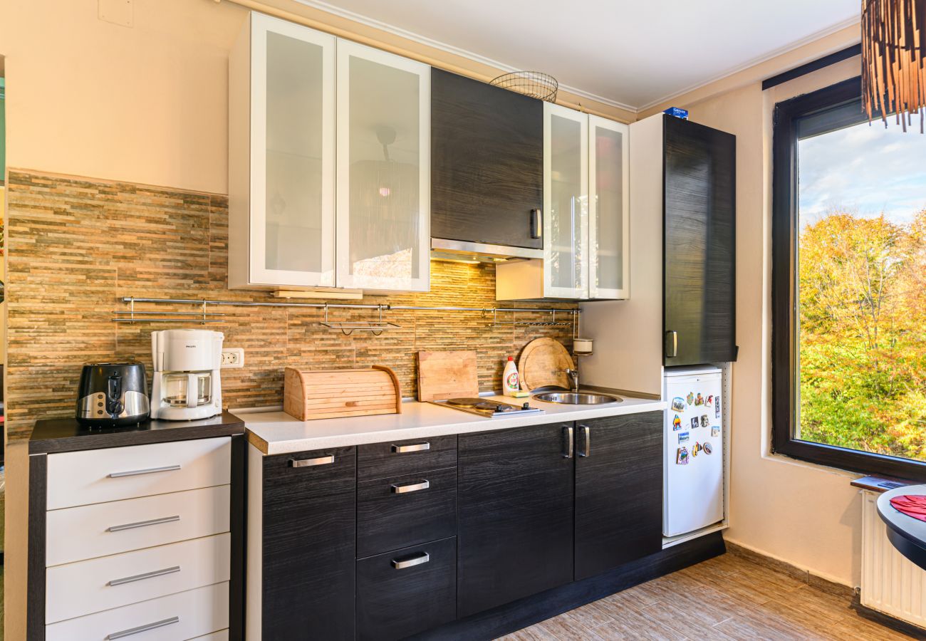 Apartment in Poiana Braşov - Marcus Apartment