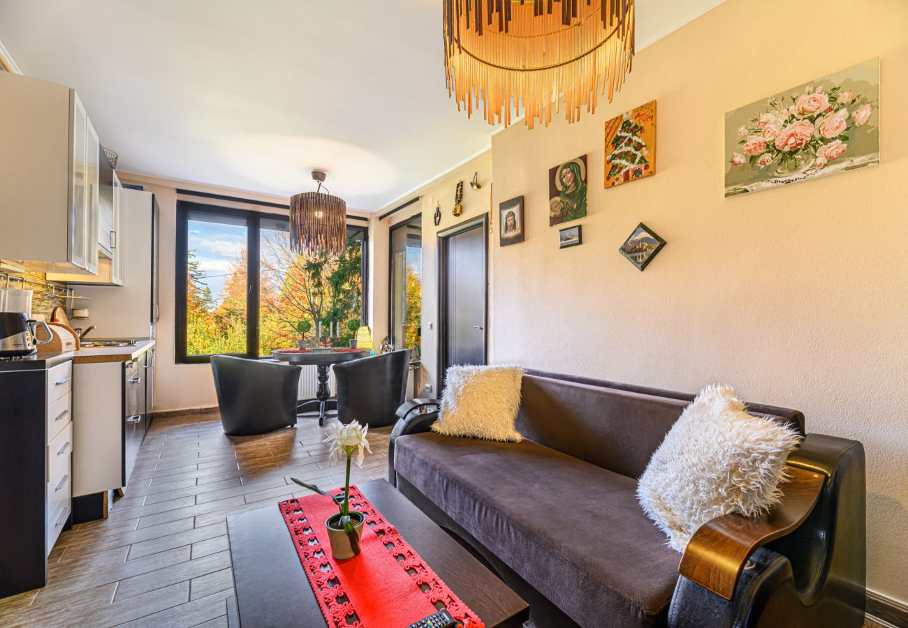 Apartment in Poiana Braşov - Marcus Apartment