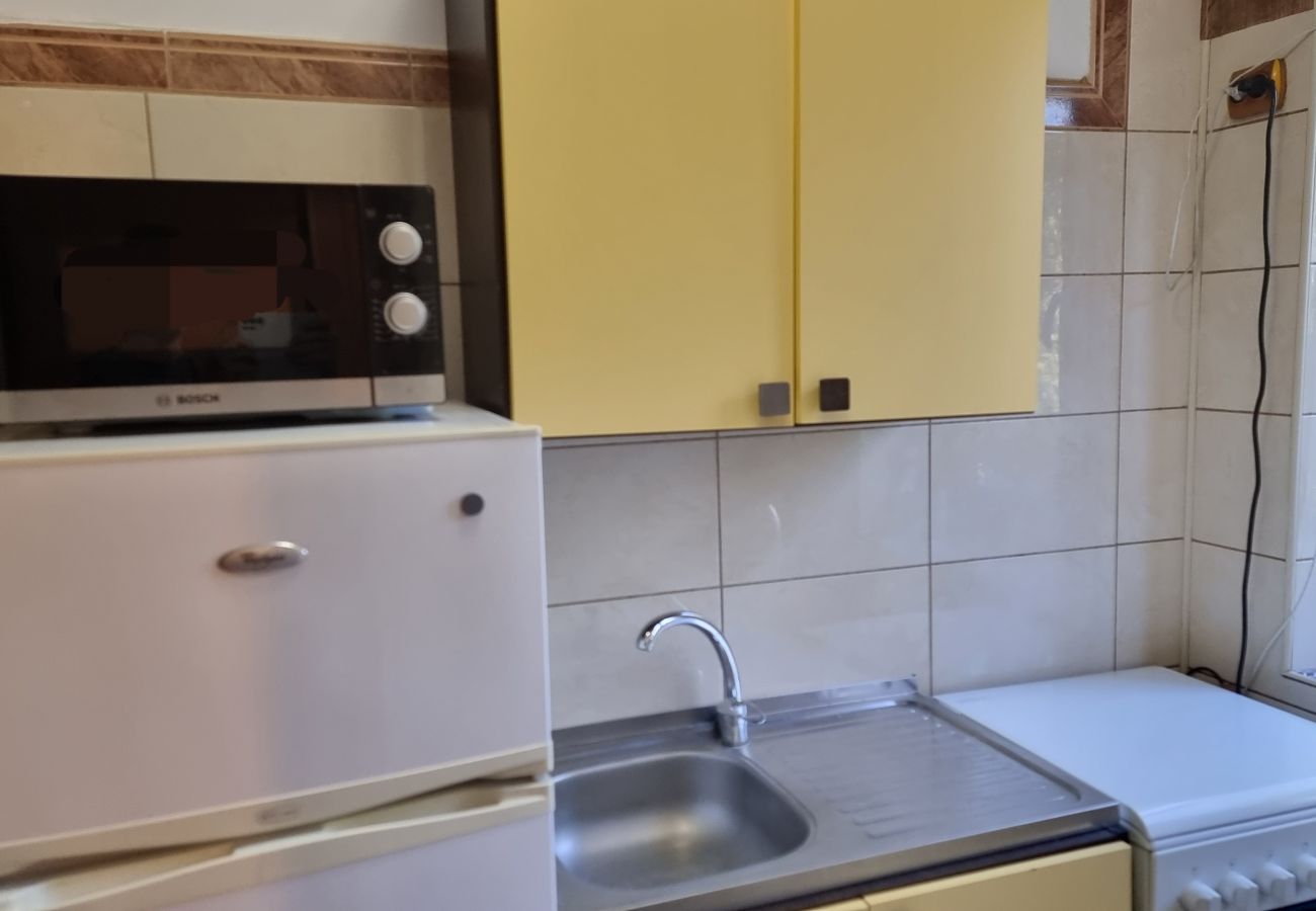 Studio in Bucharest - Feeria - Parcul National