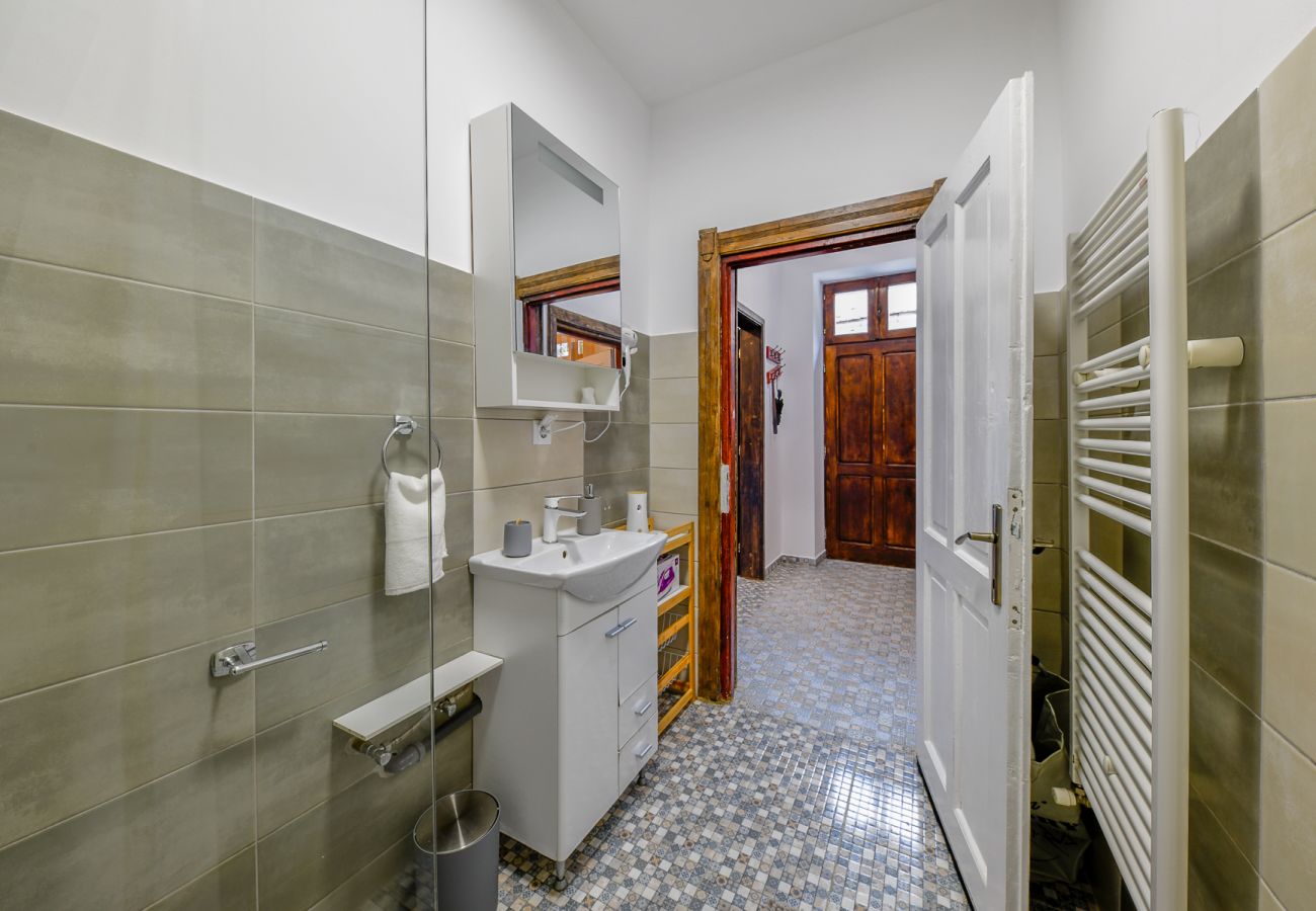 Apartment in Cluj Napoca - Marton Apartment