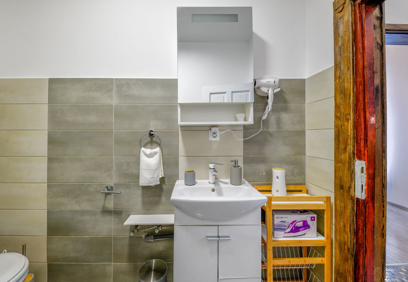 Apartment in Cluj Napoca - Marton Apartment