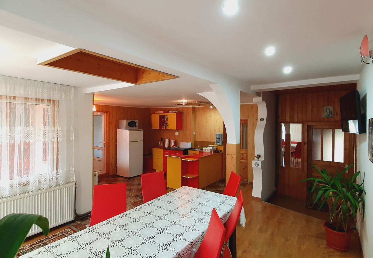 Studio in Broșteni - Casa Rusu Studio 2