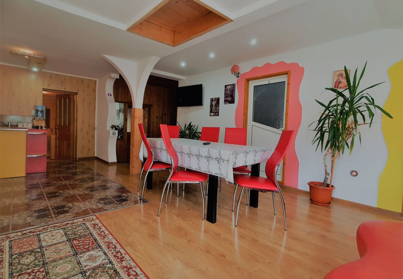 Studio in Broșteni - Casa Rusu Studio 2