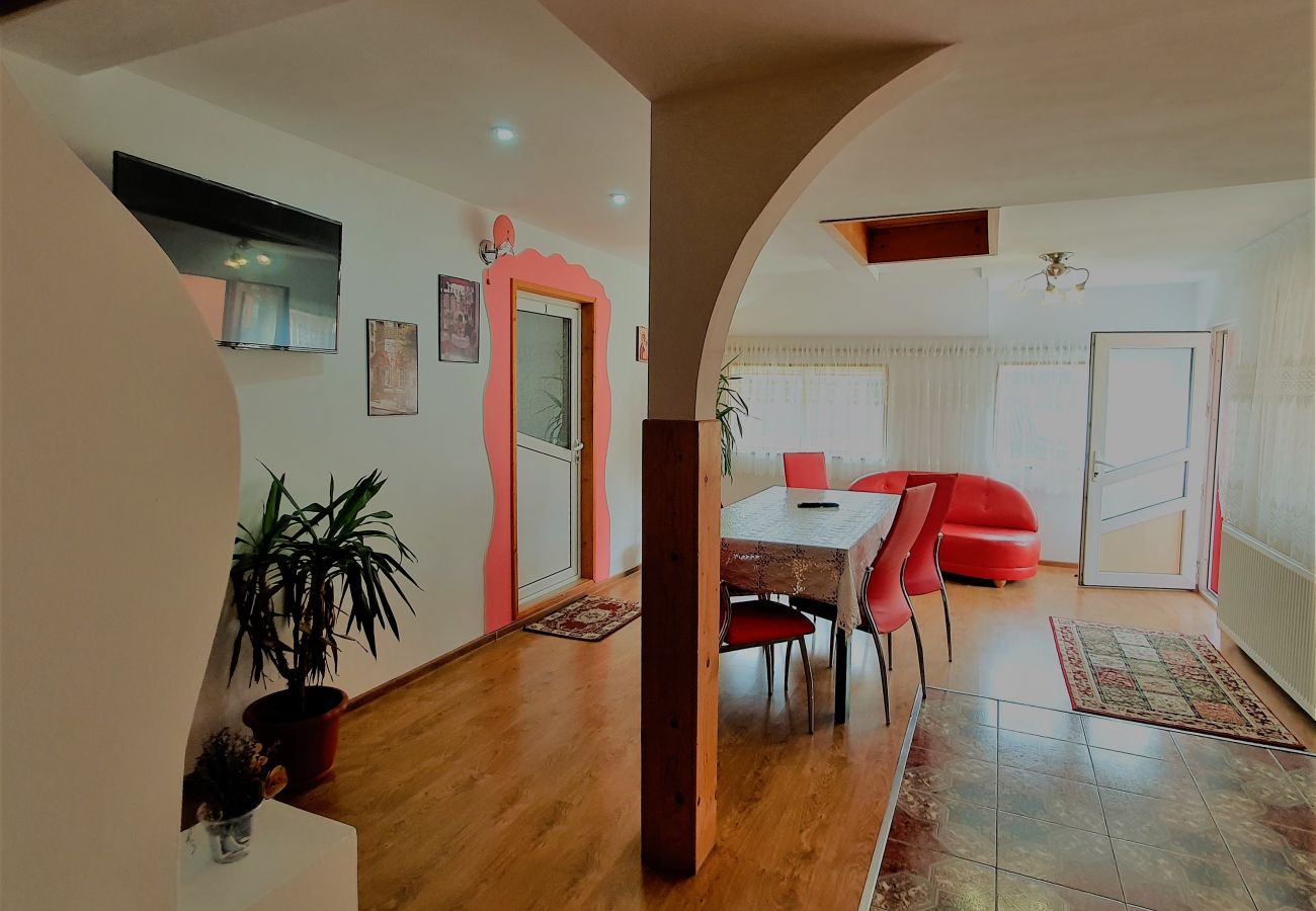 Studio in Broșteni - Casa Rusu Studio 2