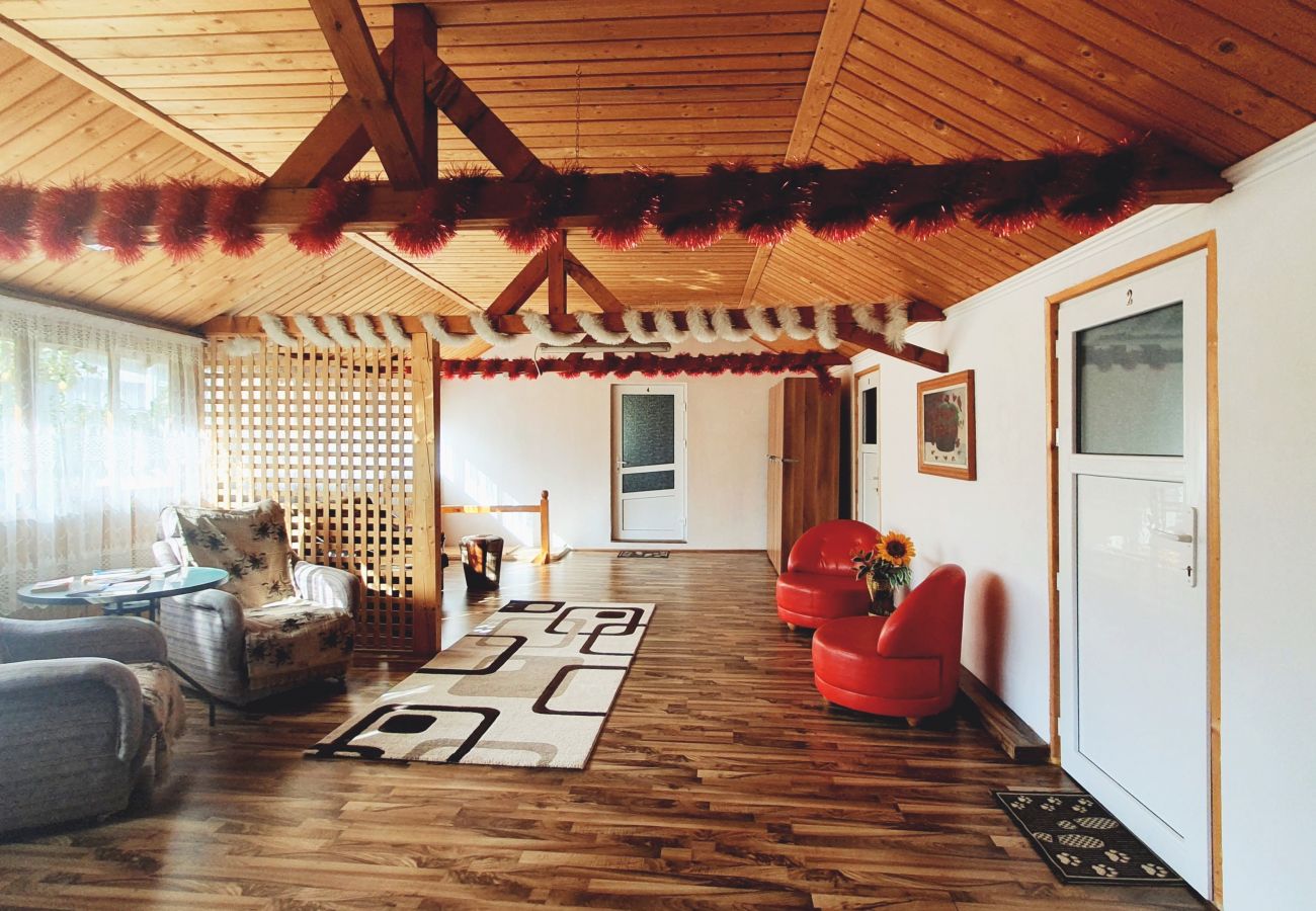 Studio in Broșteni - Casa Rusu Studio 2